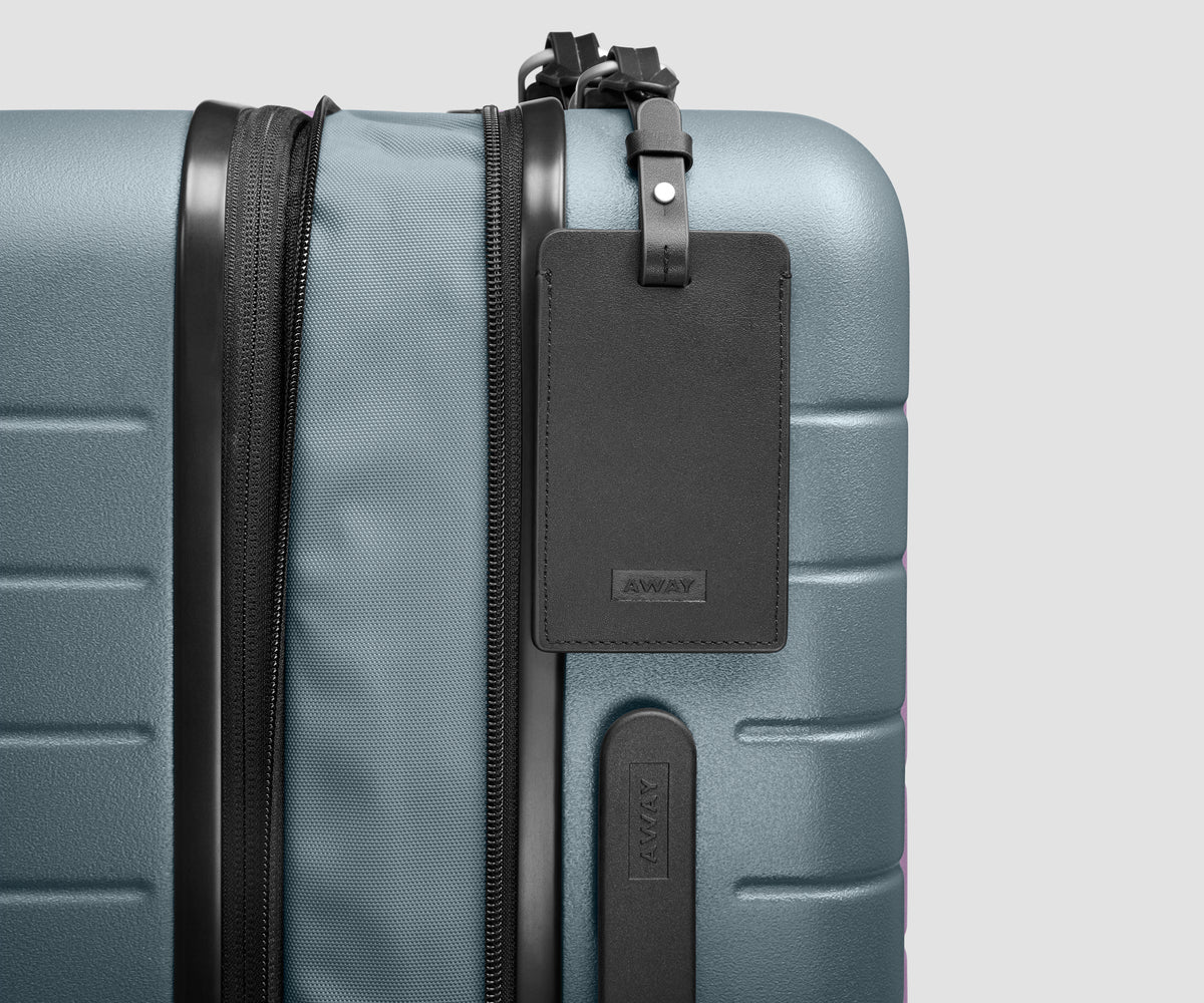 The Bigger Carry-On Flex 3 in Coast Blue