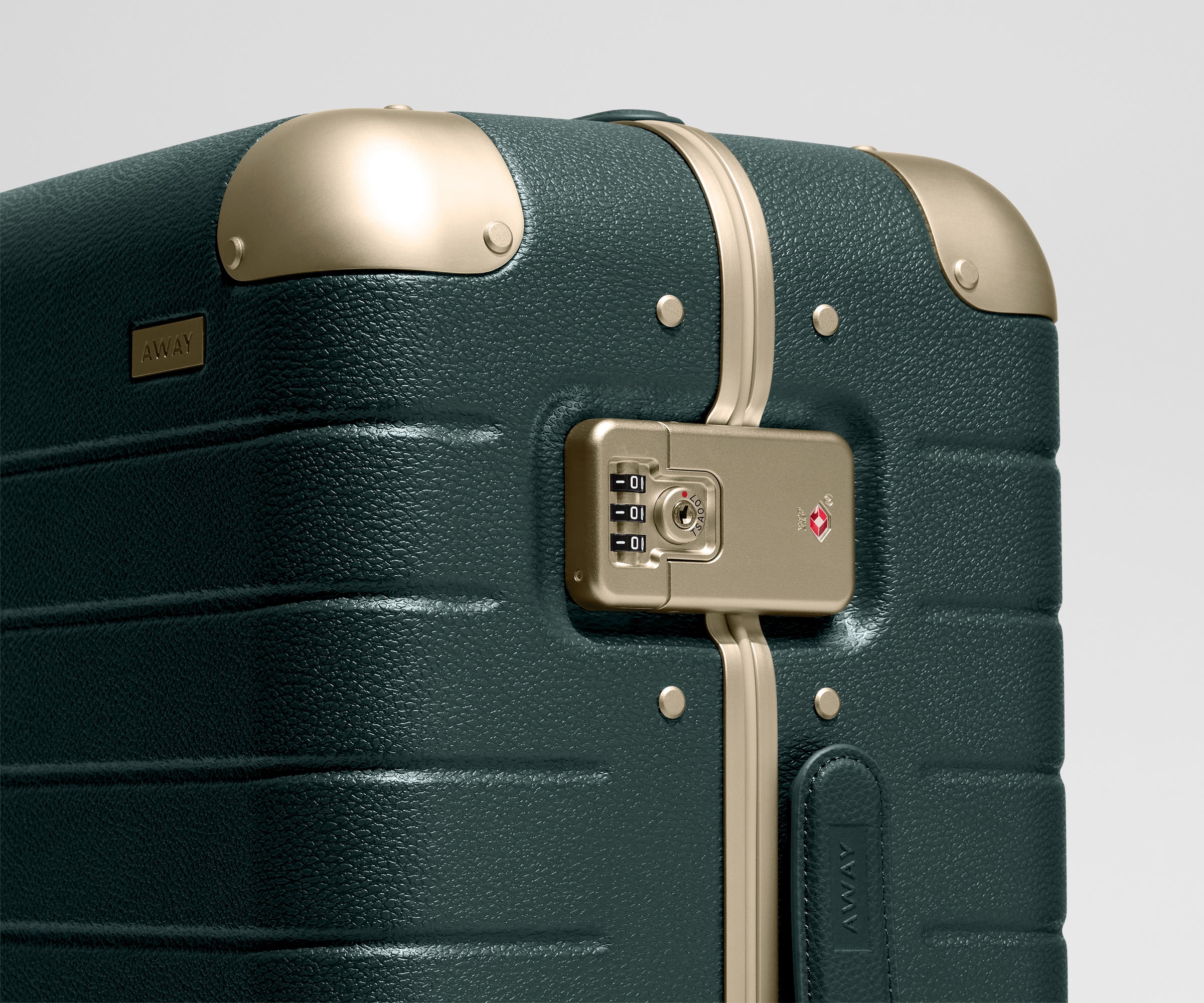 The Aluminum Edge Large in Ivy Green
