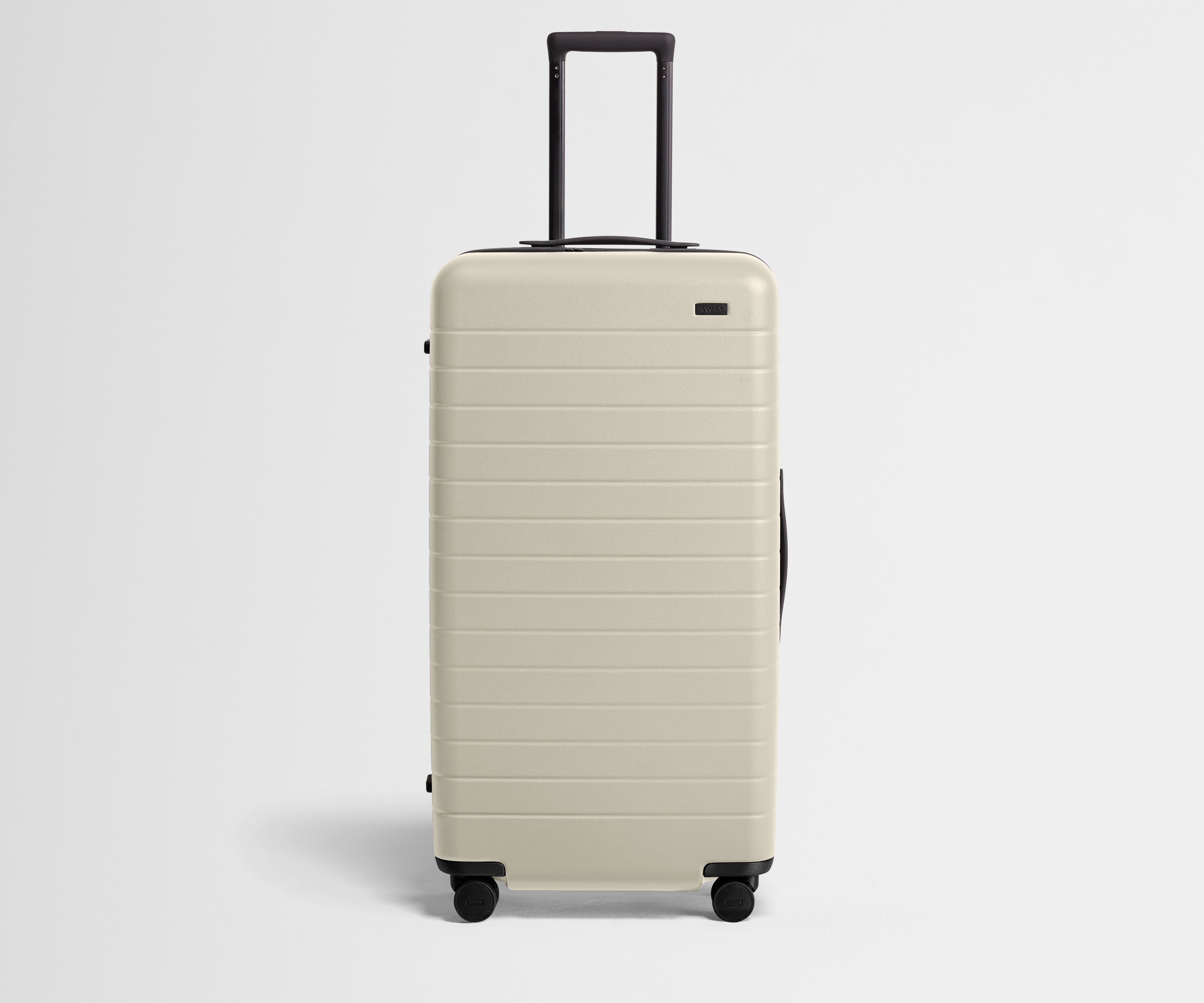 The Trunk in Salt White